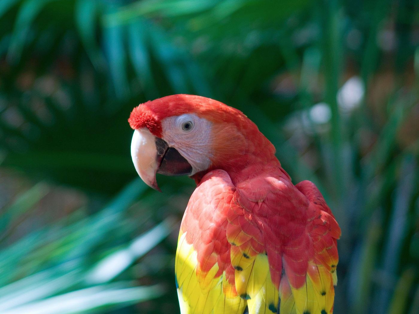Fairmont-Mayakoba-General-view-26