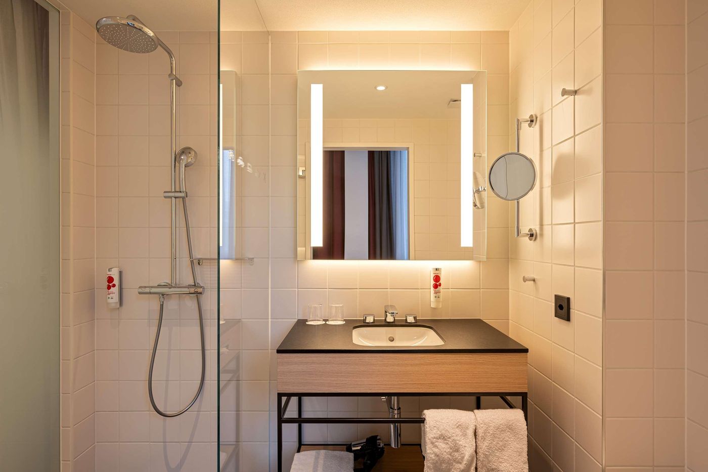 IntercityHotel-Geneva-Room-43