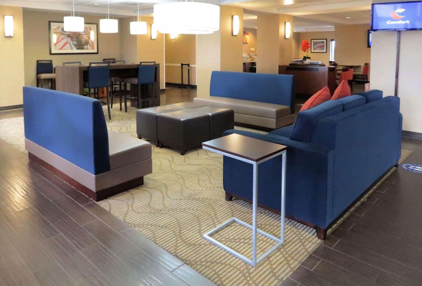 Comfort Inn & Suites Southwest Fwy-United States-HOUSTON-Lobby-8
