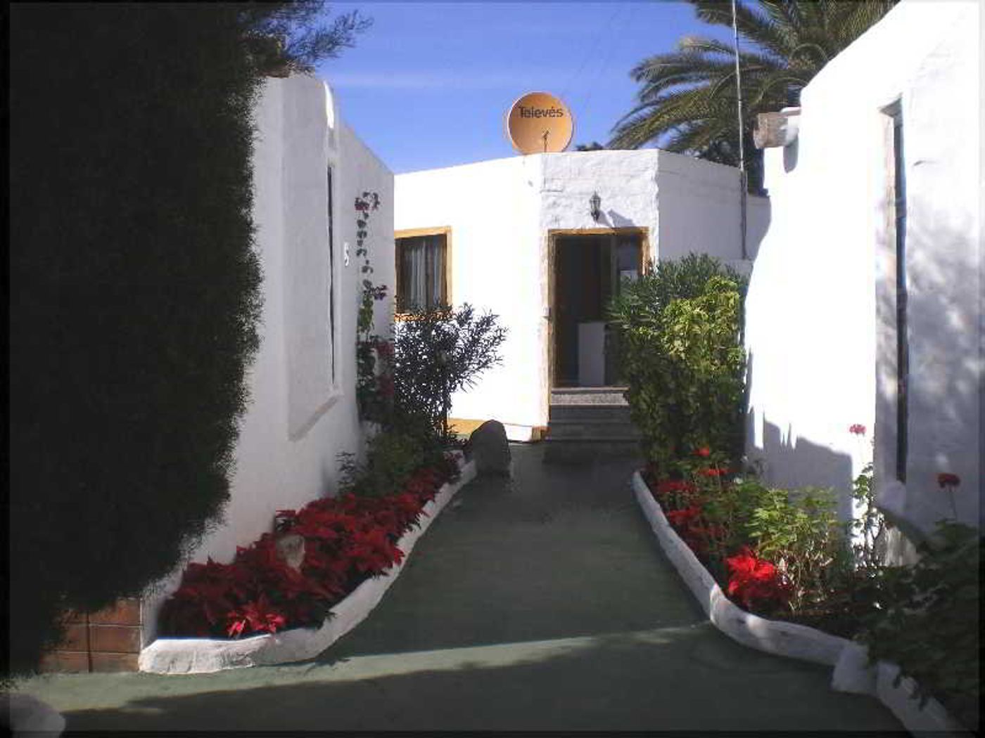 Tenesoya--Gay-Men-Exclusive--Terrace-10