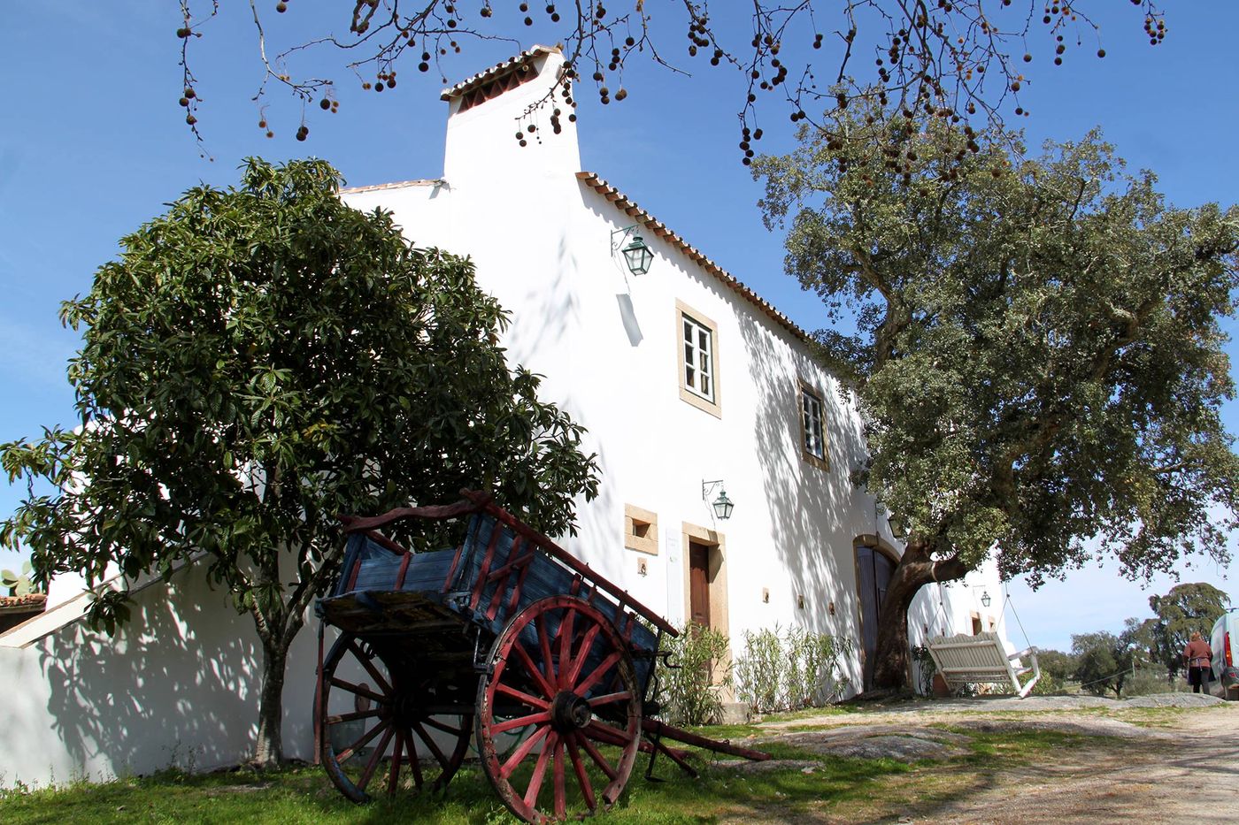 Quinta-dos-Ribeiros-General-view-1