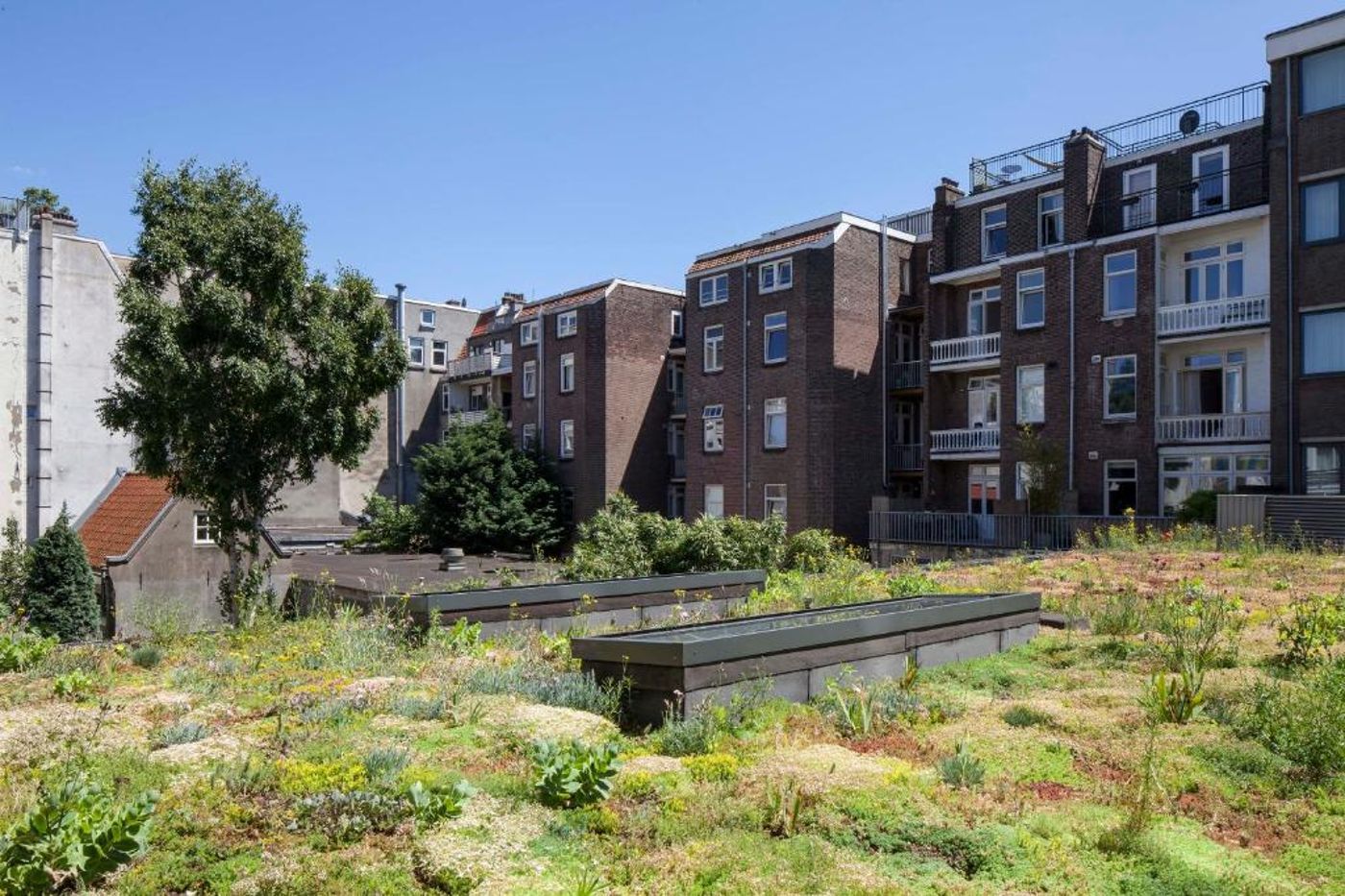 Conscious-Hotel-Vondel-Park-General-view-1