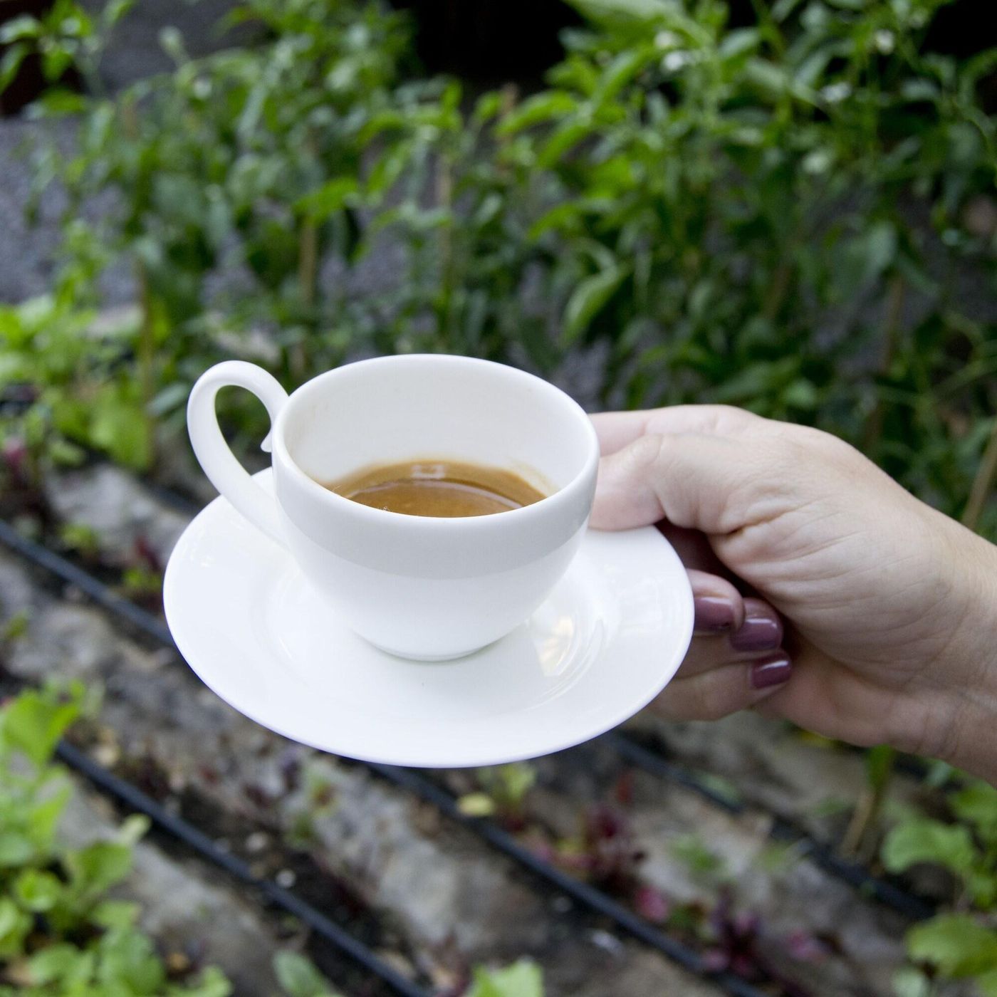 Sheraton-Catania-Restaurant-24