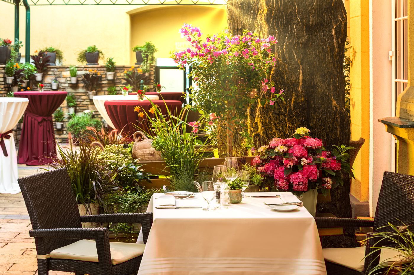 Stefanie - Austria - Vienna - Restaurant - 3