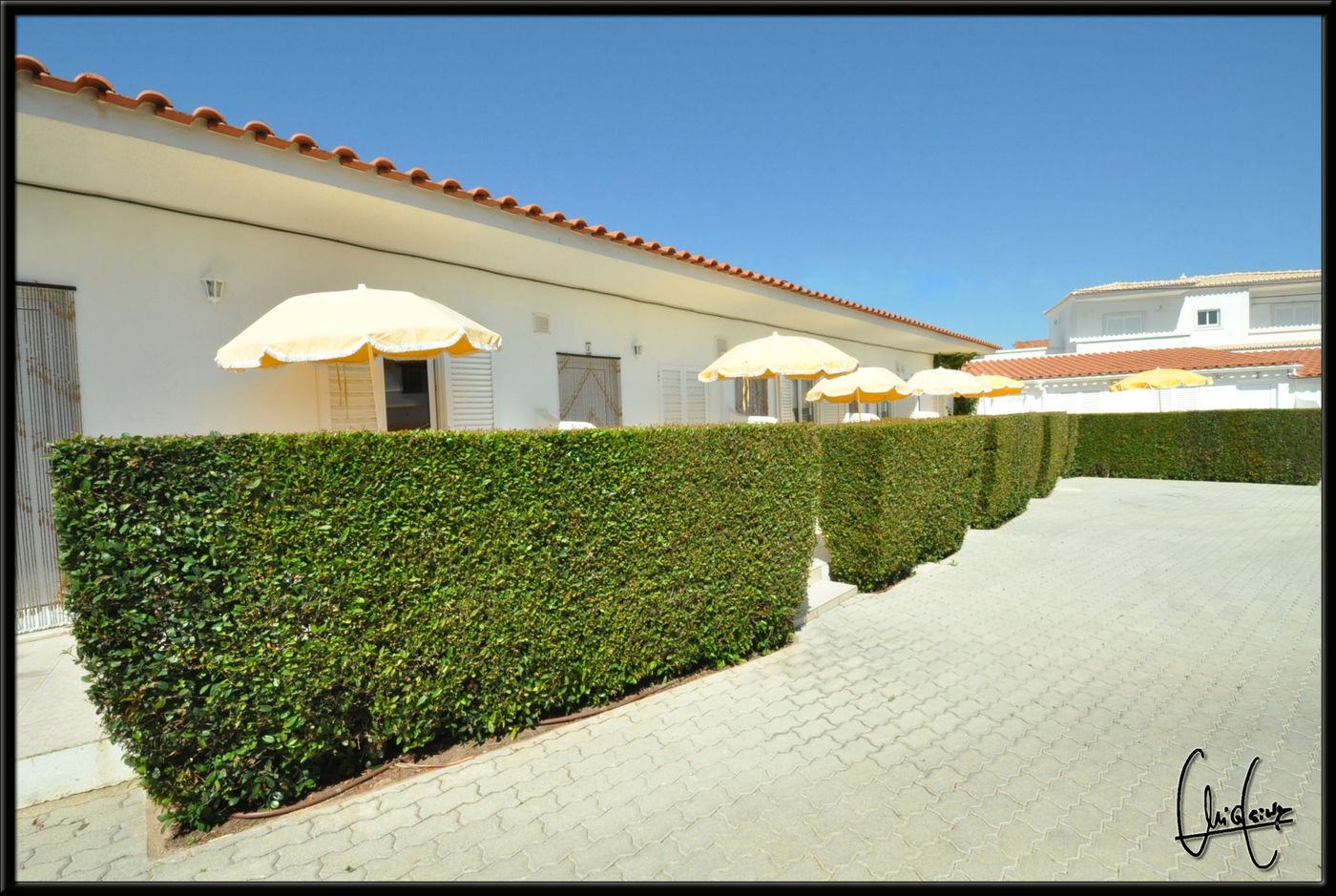 Flor-Da-Laranja-Room-18