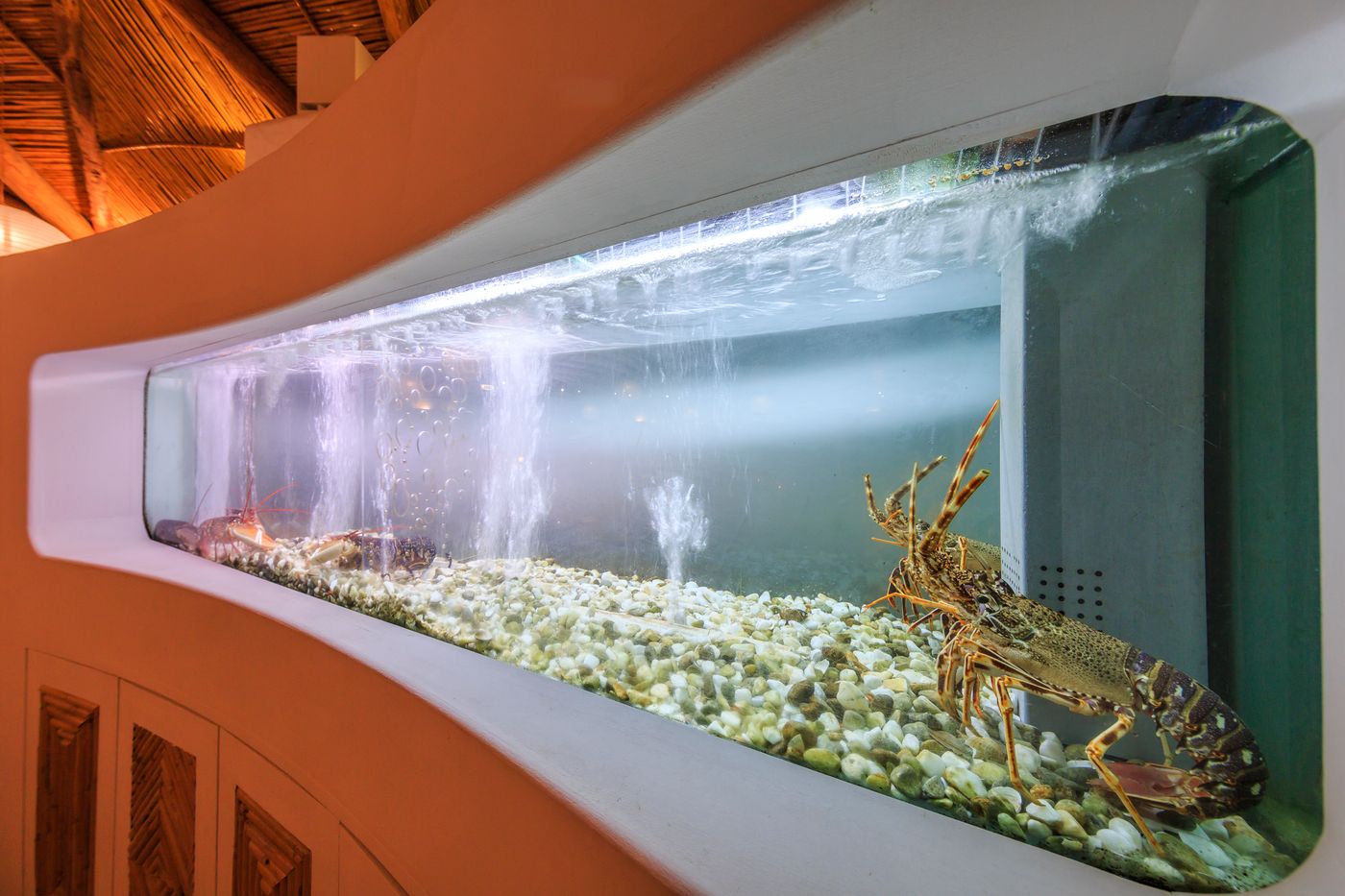 Encosta-do-Lago-Resort-Restaurant-55