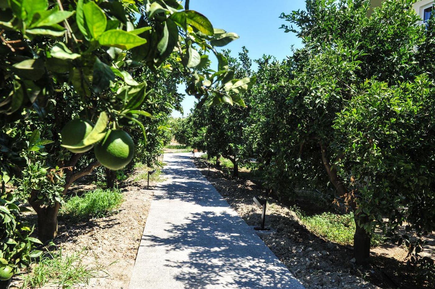 Ilyssion Holidays Studios