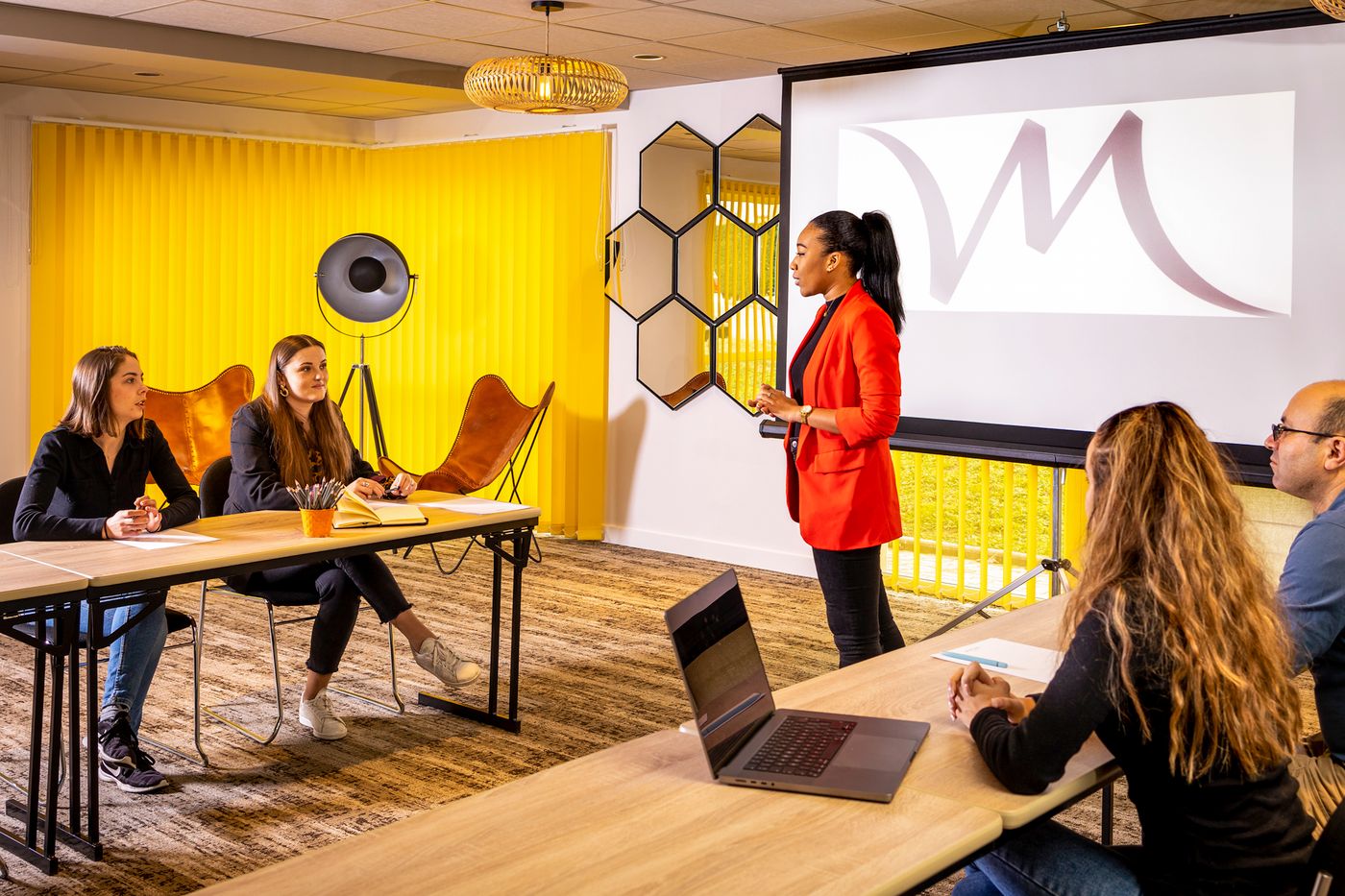 Hôtel Mercure Lyon Est Chaponnay - France - CHAPONNAY - Conferences - 4