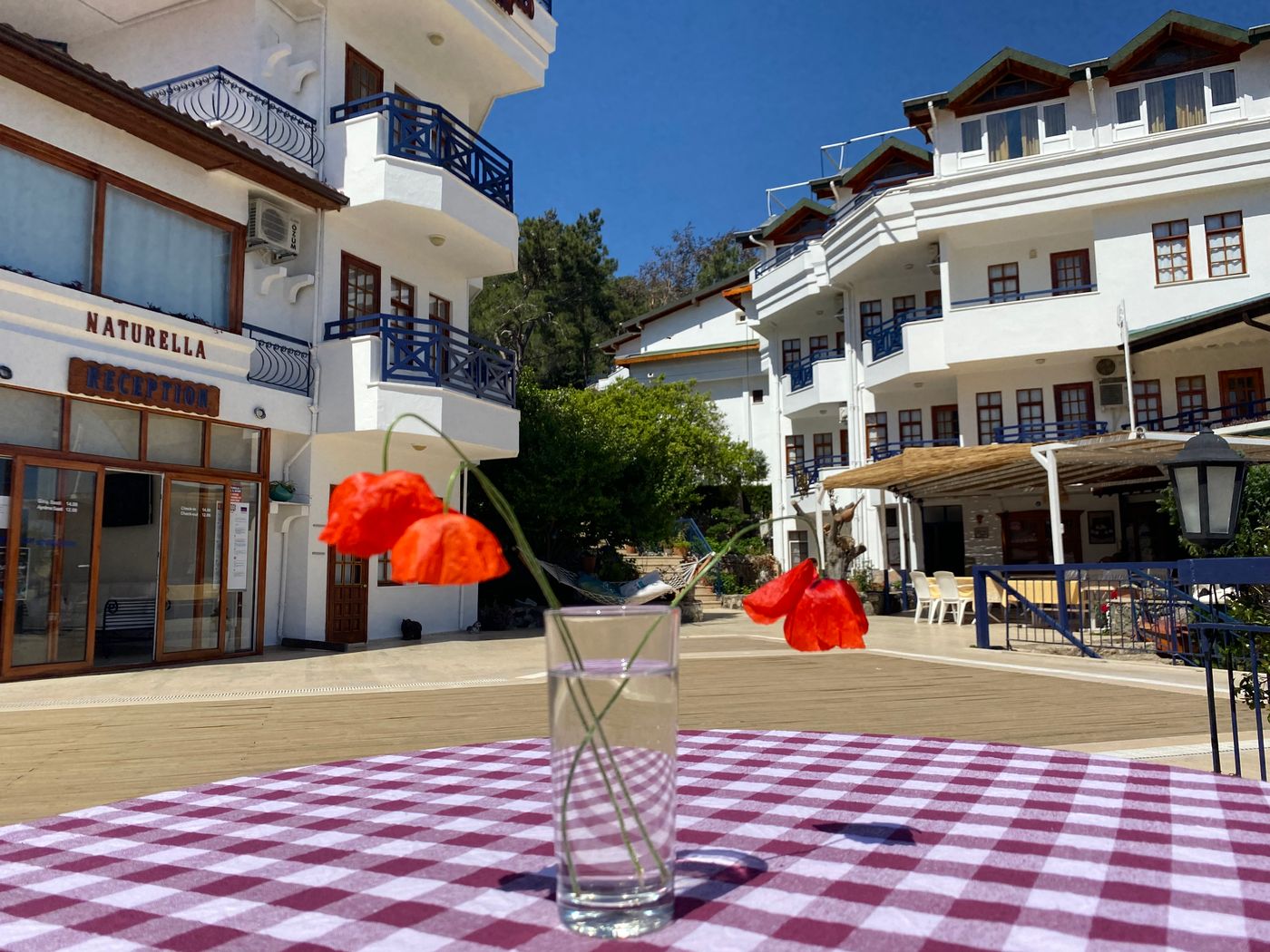 Naturella-Restaurant-16