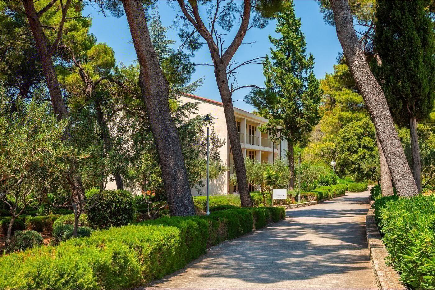 Aminess Vival Casa Velaris-Croatia-SUPETAR, BRAČ-General view-6