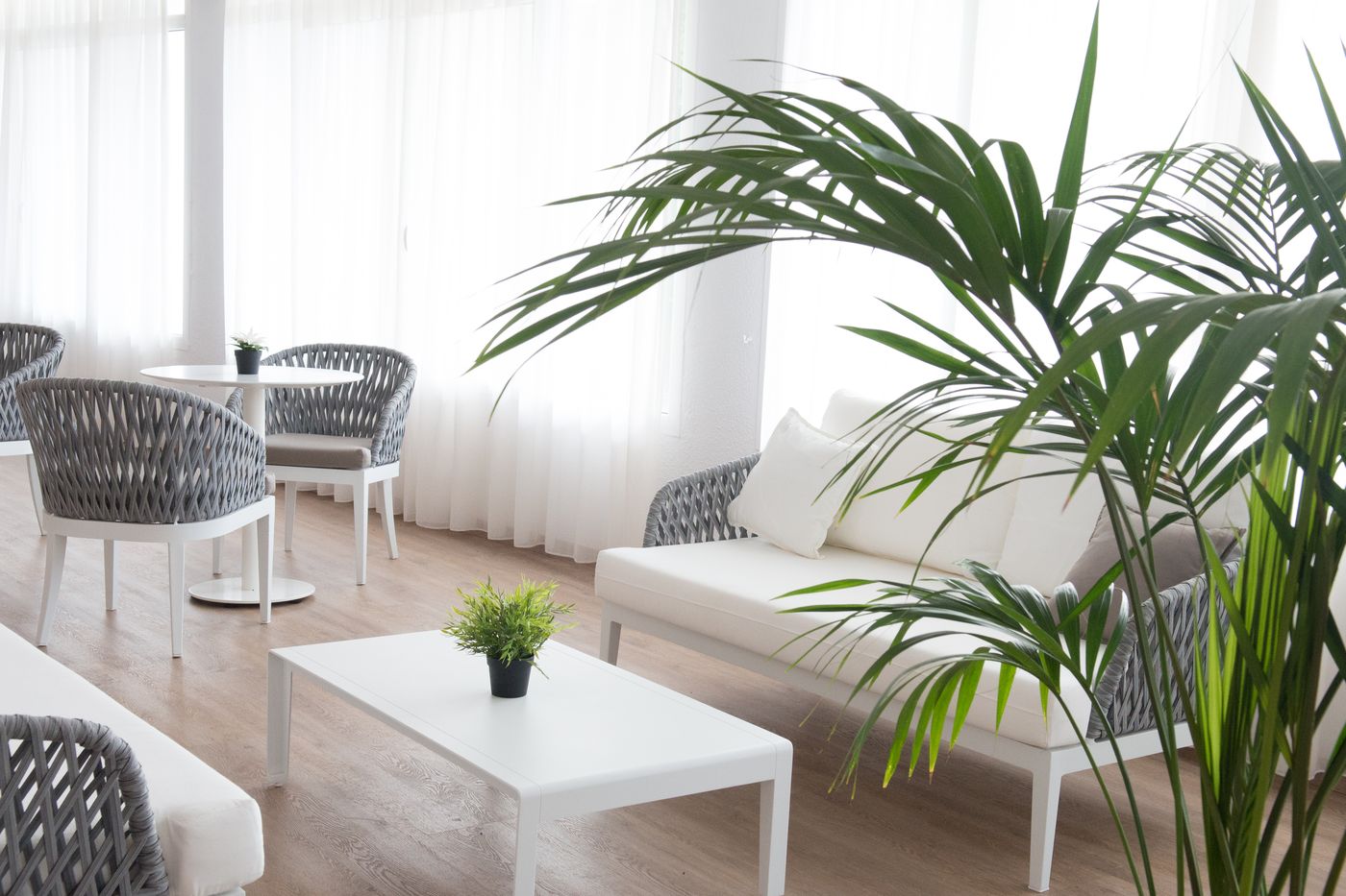 IBB-Paradis-Blau-Lobby-24