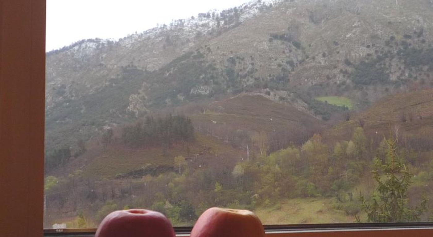 Picos de Europa-Spain-ARENAS DE CABRALES-General view-2