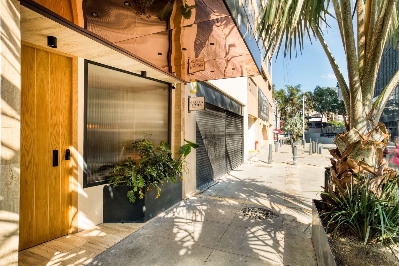 Caliza Roma-Mexico-Ciudad de México-General view-5