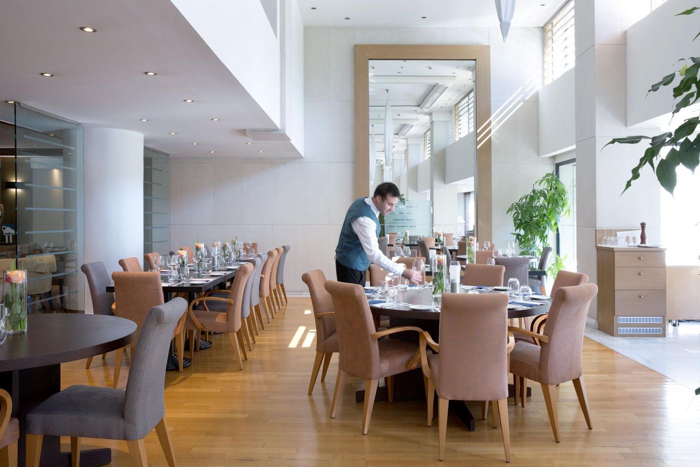 Golden-Age-of-Athens-Restaurant-27