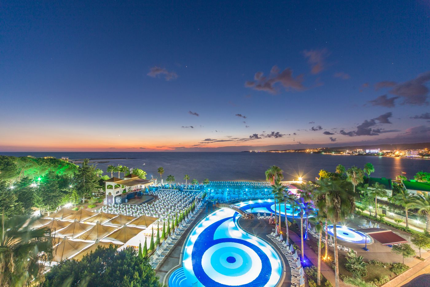 Lonicera--World-General-view-3