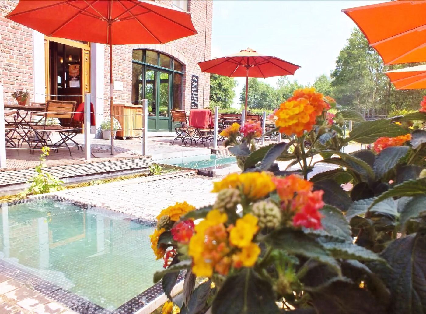 Lüthemühle - Germany - NETTETAL - Terrace - 9