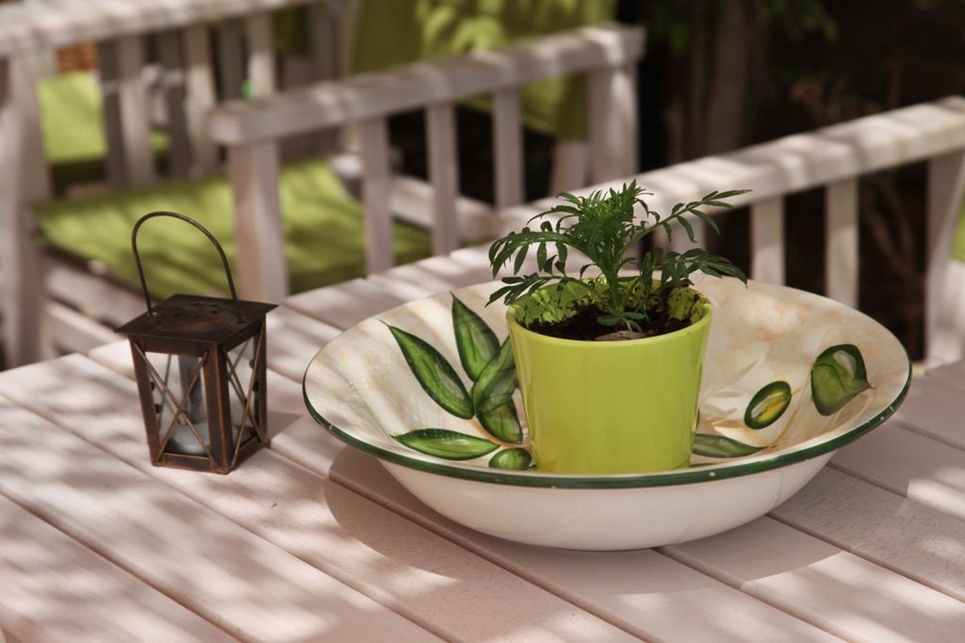 Elounda-Olive-Garden-Studios-General-view-9