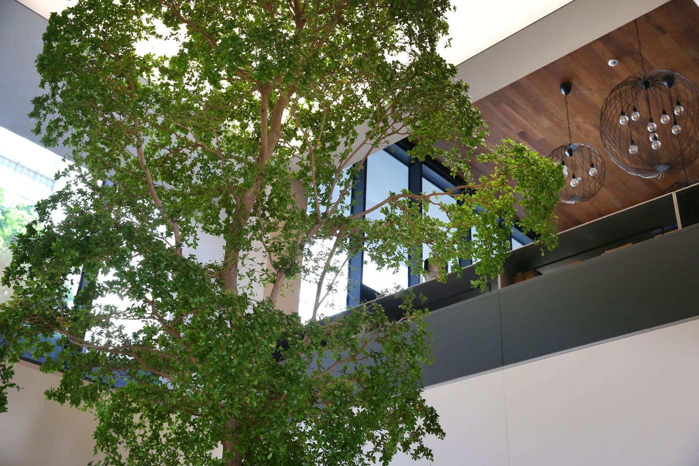 Lux-Lisboa-Park-General-view-9