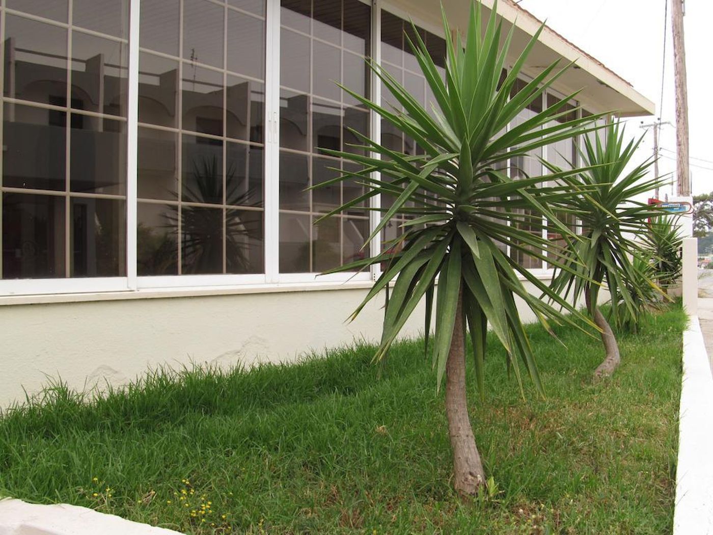 Saint-Amon-General-view-6