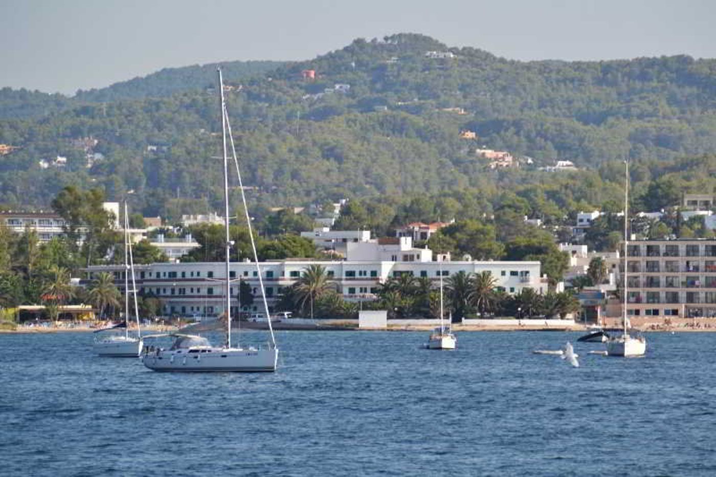 Tagomago-General-view-41