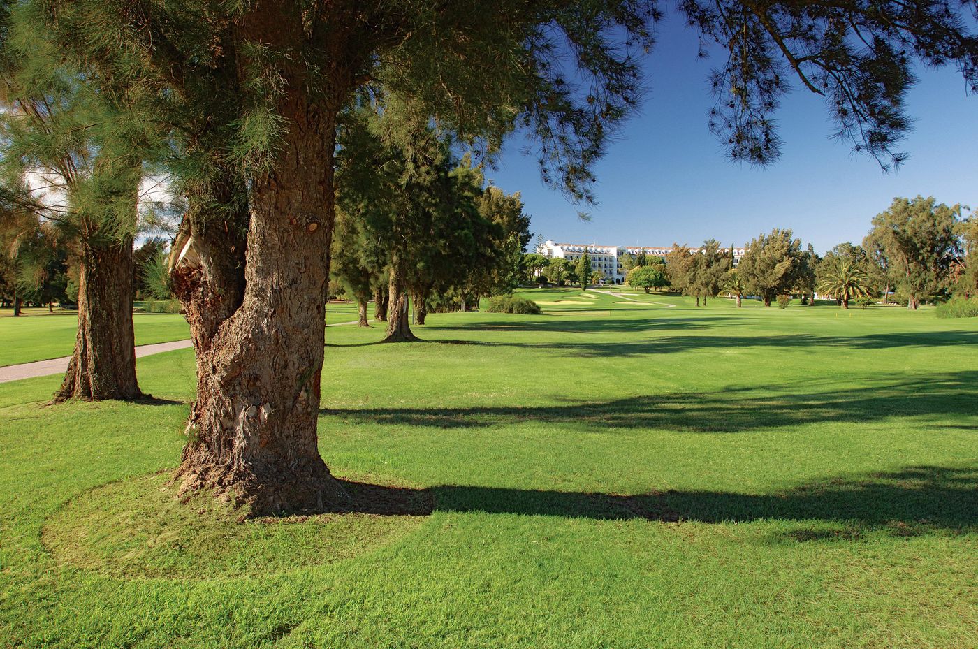 Le-Meridien-Penina-Golf---Resort-General-view-77