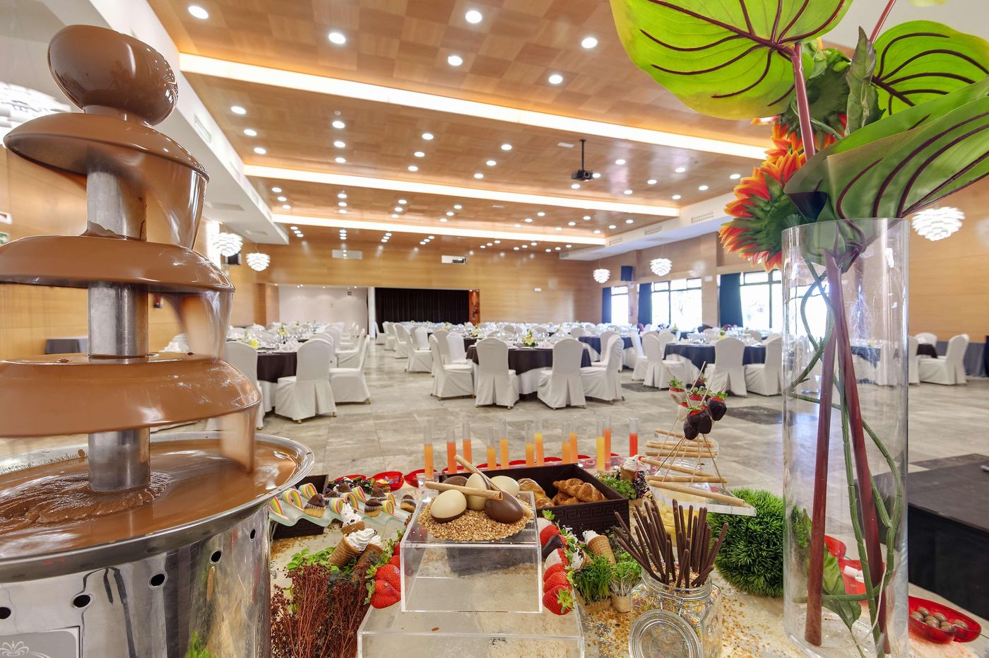 Barcelo-Marbella-Conferences-59