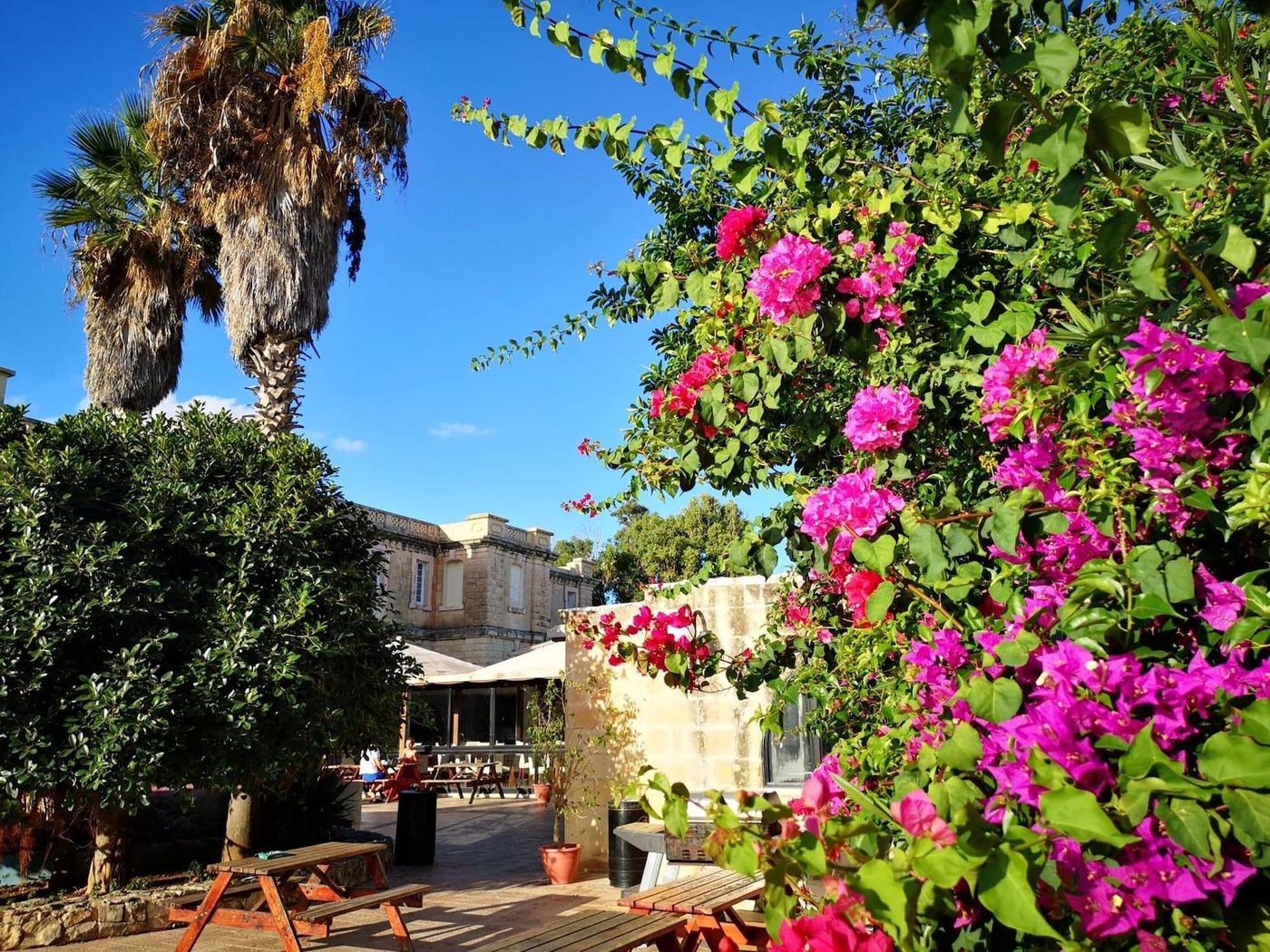 Sprachcaffe-International-Aparthotel-Pembroke-Restaurant-14