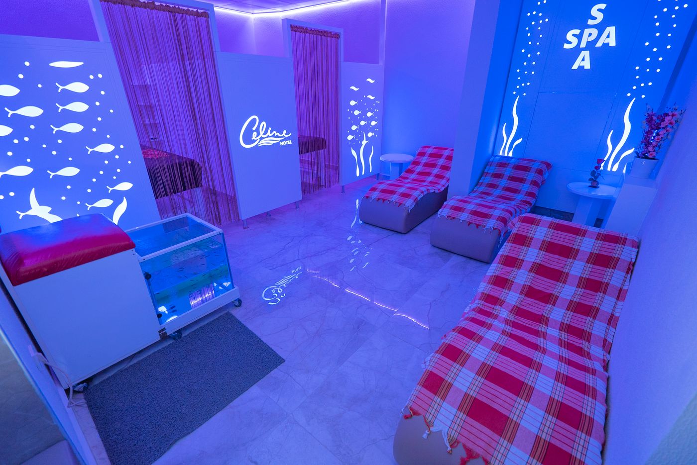 Kleopatra-Celine-Sports-and-Entertainment-26