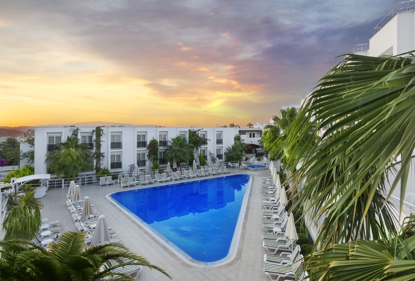 Club-Hotel-Shark-General-view-1