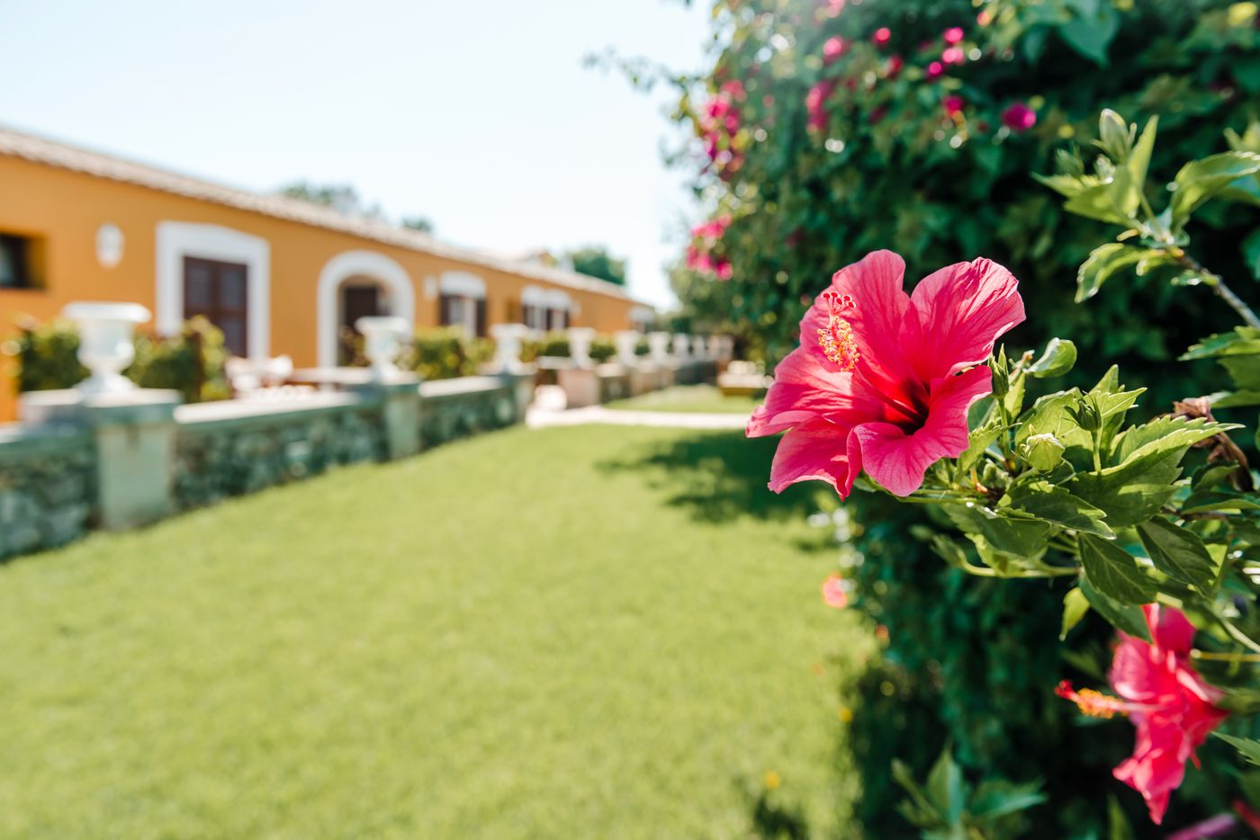 Rural-Sant-Ignasi-Terrace-26