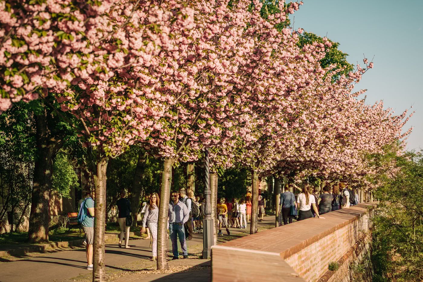 Pest-Buda-Hotel---Design---Boutique-Room-57