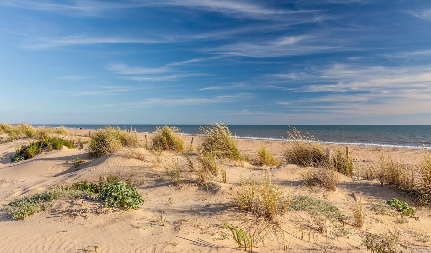 Barcelo-Punta-Umbr----a-Mar-Beach-84