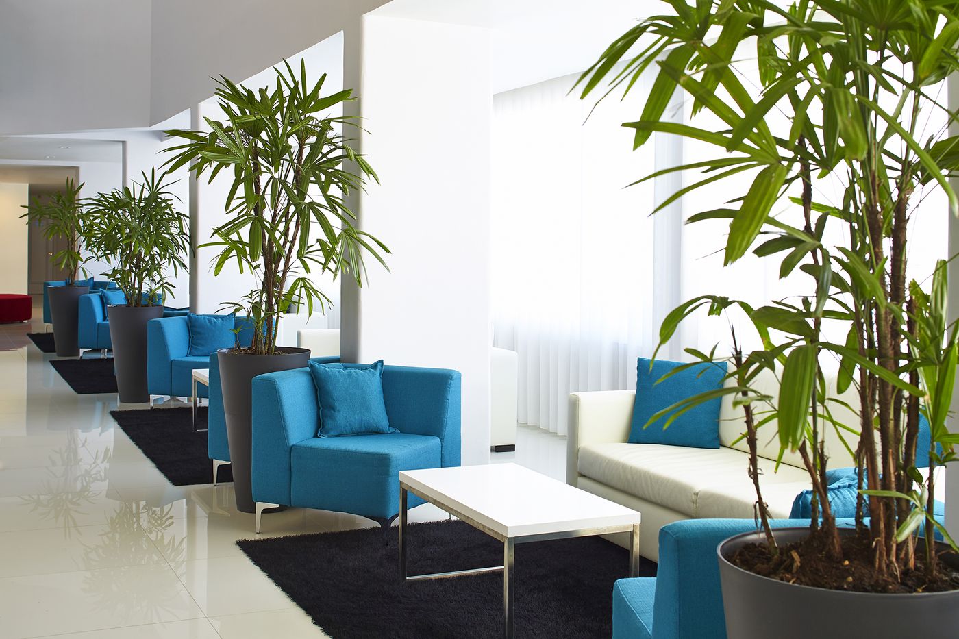 Luna-Miramar-Lobby-48