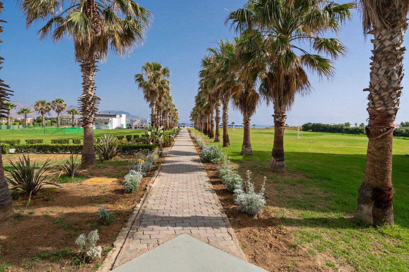 Delfina-beach-General-view-43