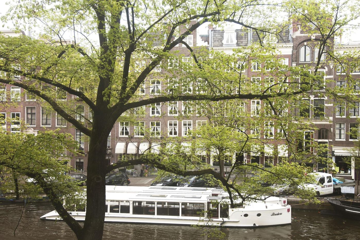 Estherea-General-view-6