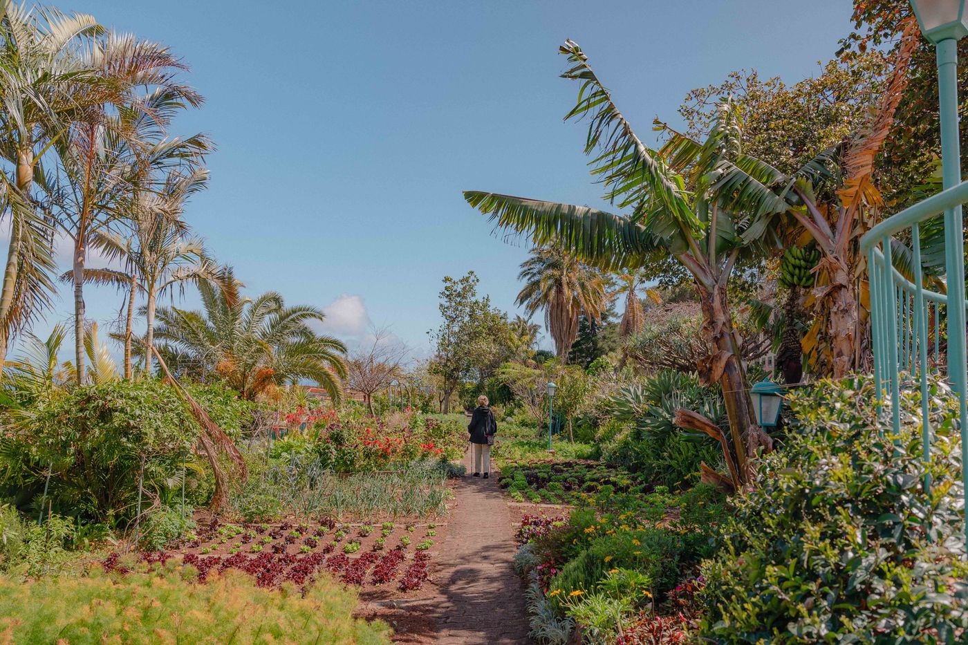 Quinta-Splendida-Wellness---Botanical-Garden-General-view-14