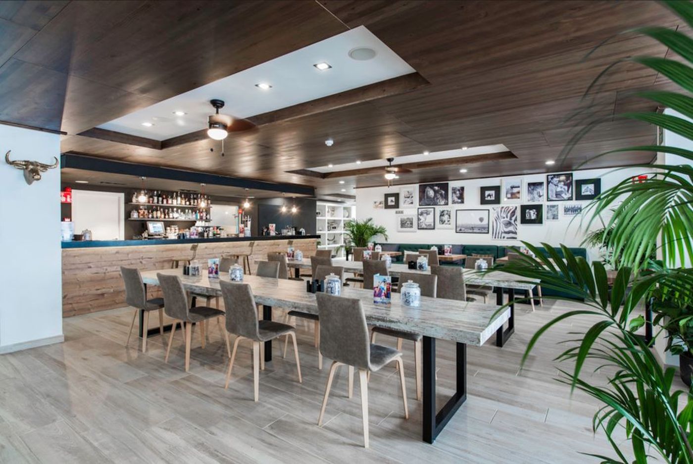 Apartments Playasol Mogambo - Adults Only