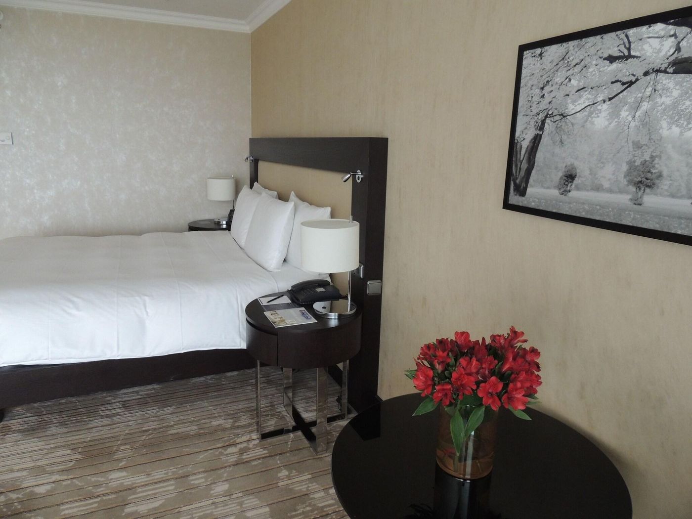 Hilton-Munich-Park-Room-50