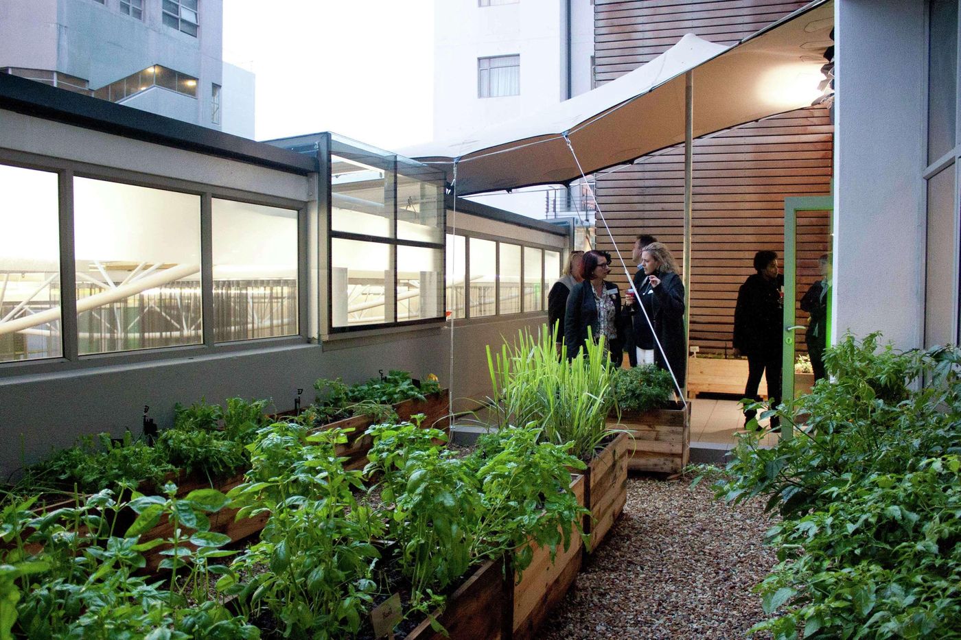 Doubletree-by-Hilton-Cape-Town-General-view-53