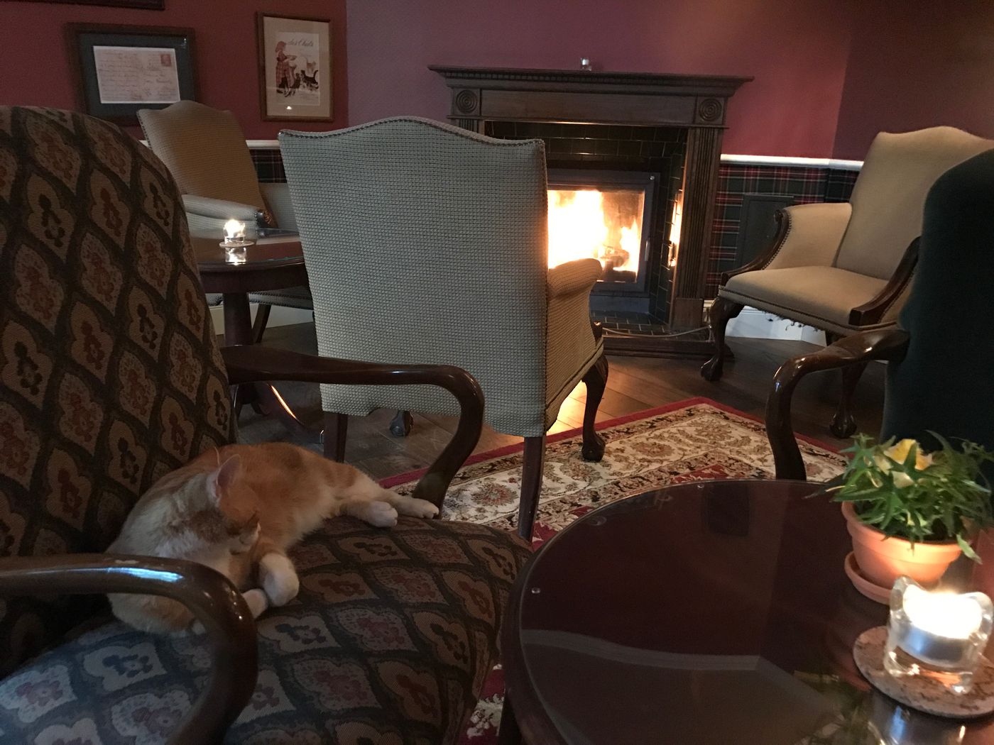 Dwor-Sierakow-Bar-11