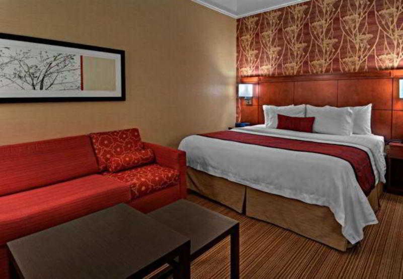 Courtyard Scottsdale North-United States-SCOTTSDALE-General view-9