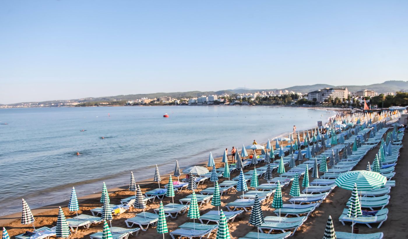 Lonicera--World-Beach-63