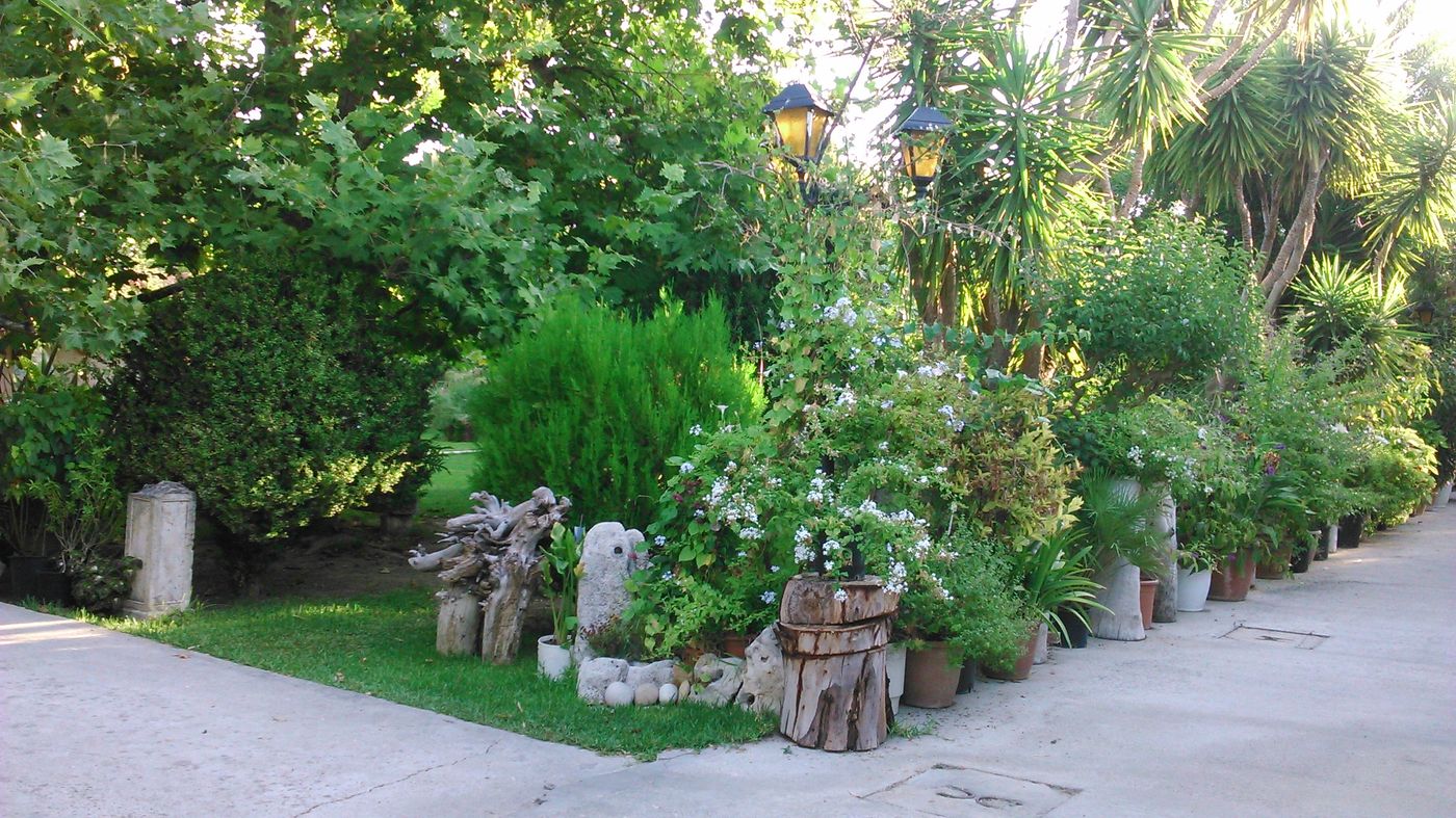 Baha-Ammes-General-view-13