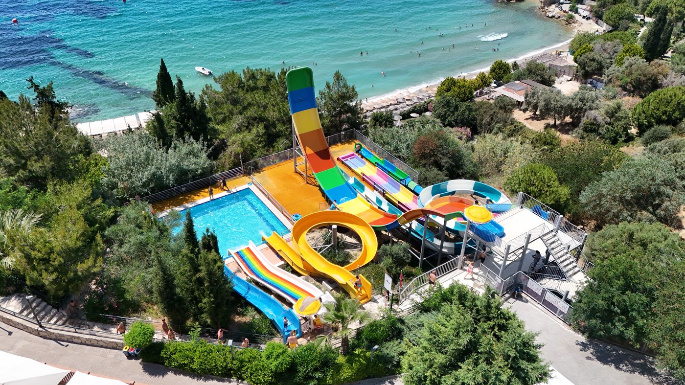 New - Sealight Family Club