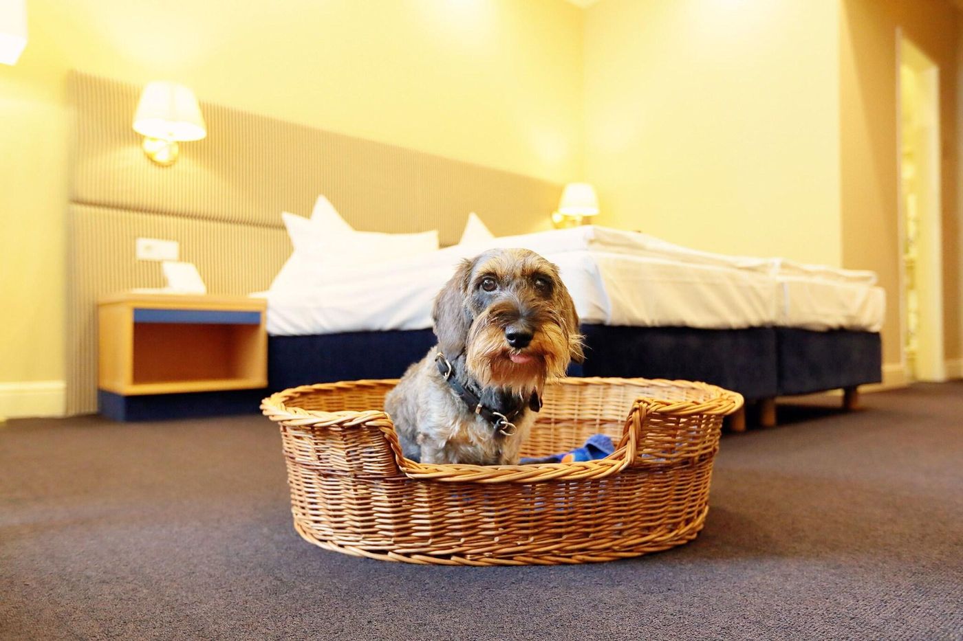 Inselhotel-Potsdam-General-view-12