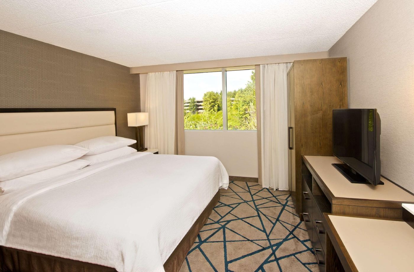 Embassy Suites by Hilton Seattle Bellevue-United States-BELLEVUE-General view-1
