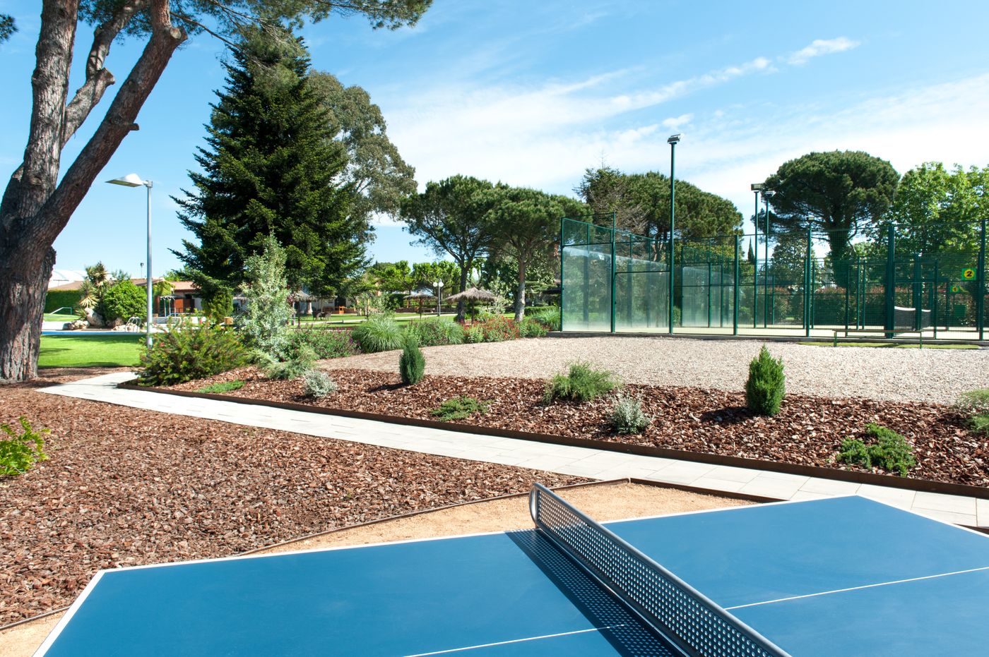 Mas-Sola-Sports-and-Entertainment-20