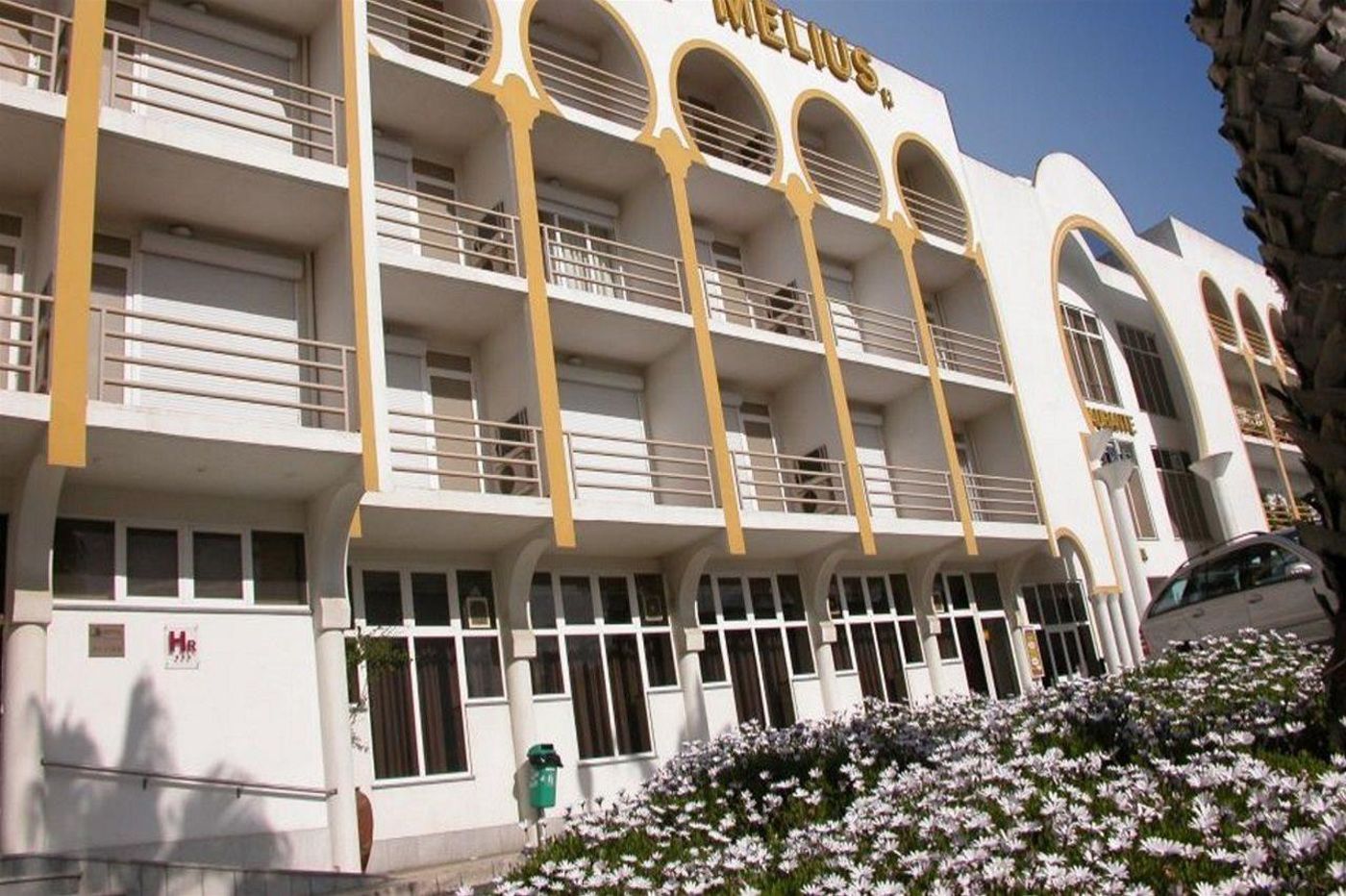 Melius-General-view-2