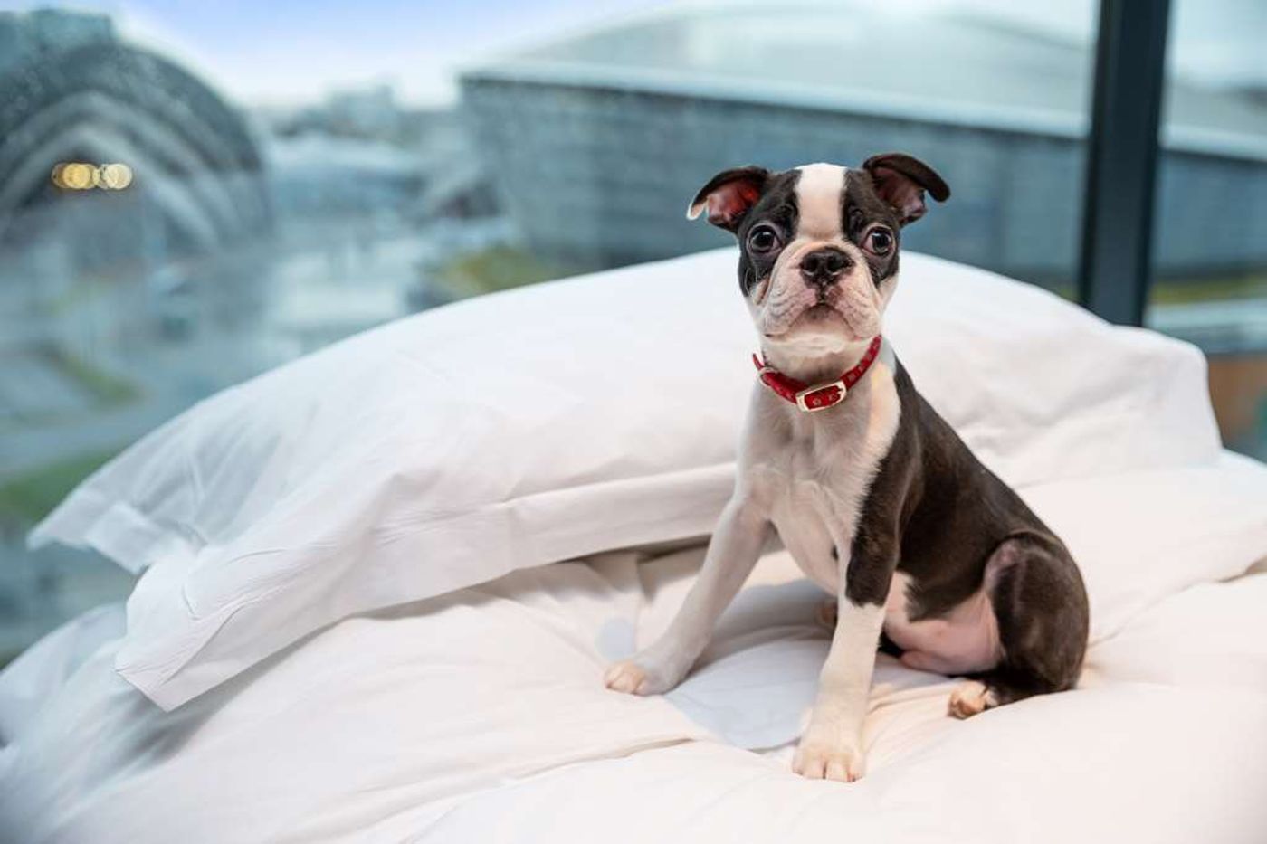 Radisson RED Hotel, Glasgow-United Kingdom-Glasgow-General view-4