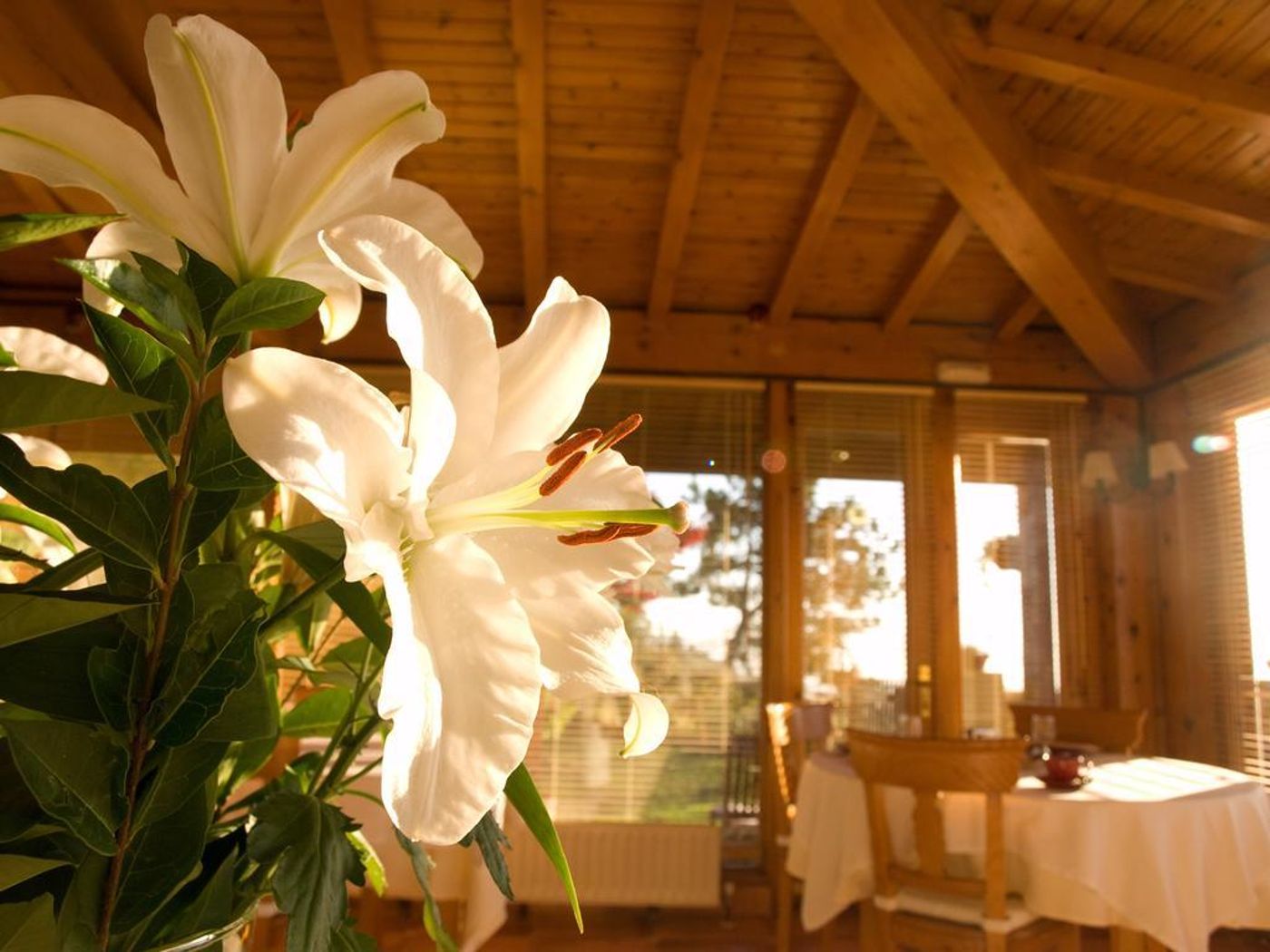 Casa Camila-Spain-OVIEDO-General view-4